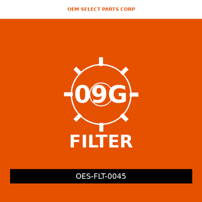 Filter | 09G