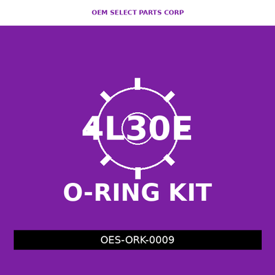 O-Ring Kit | 4L30E