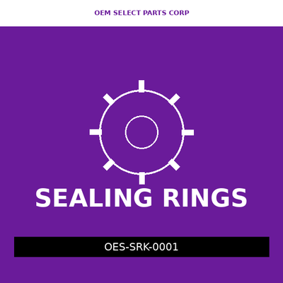 Sealing Ring Kit | JF015E / Versa