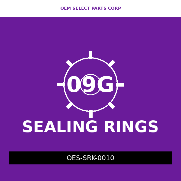 Sealing Ring Kit | 09G