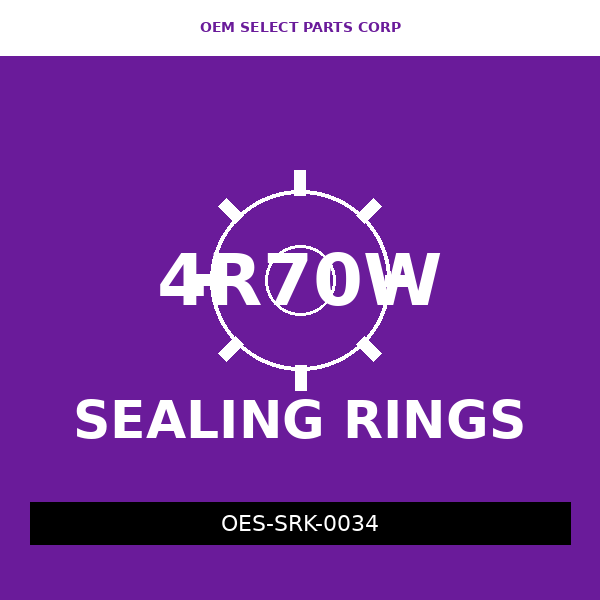 Sealing Ring Kit | 4R70W