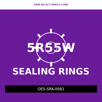 Sealing Ring Kit | 5R55W