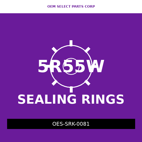 Sealing Ring Kit | 5R55W