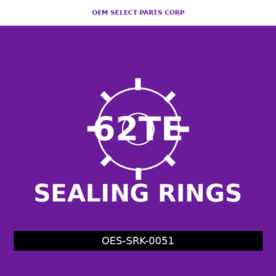 Sealing Ring Kit | 62TE