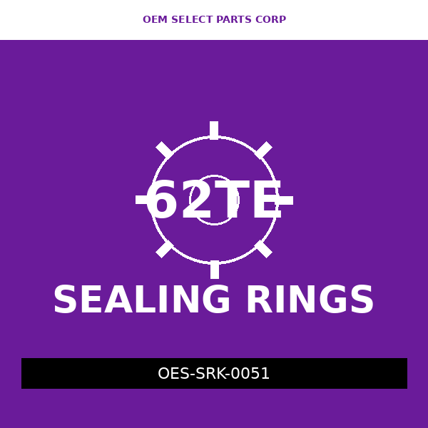 Sealing Ring Kit | 62TE