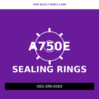 Sealing Ring Kit | A750E