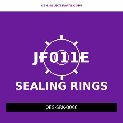 Sealing Ring Kit | JF011E