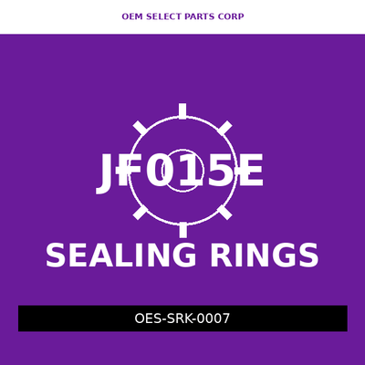 Sealing Ring Kit | JF015E