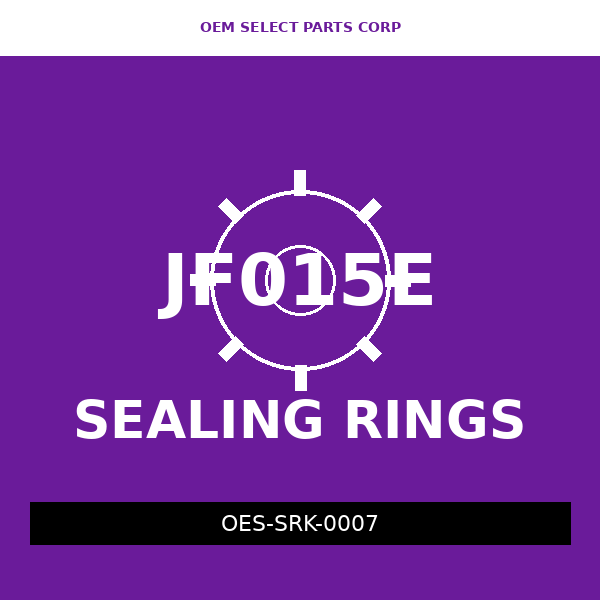 Sealing Ring Kit | JF015E